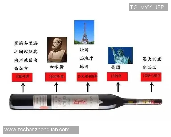 法国与中国的文化差异与交流探讨意义何在